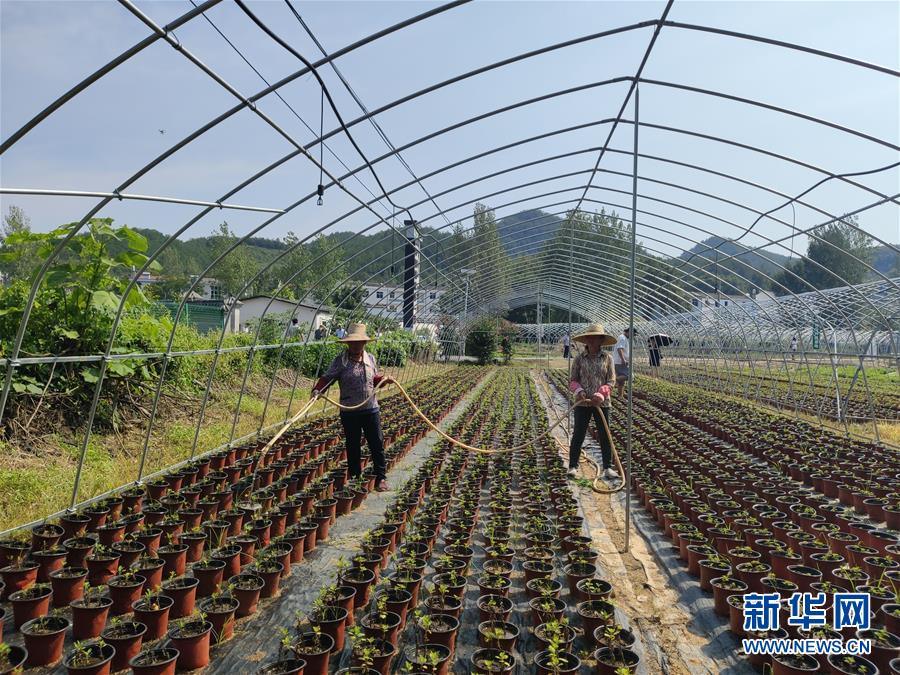 （决战决胜脱贫攻坚·图文互动）（3）安居乐业并重，搬迁脱贫同步——湖北88万搬迁群众脱贫观察 