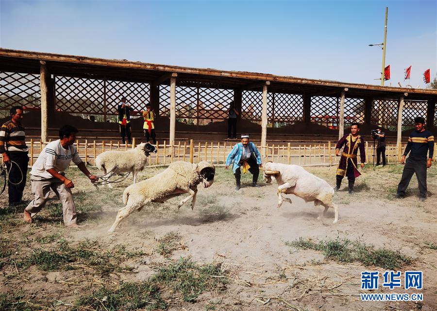 （图文互动）（4）新疆：刀郎文化在旅游开发中获新生