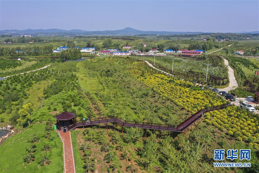 （新华全媒头条·走向我们的小康生活·图文互动）（16）黑土地上是我家——在吉林，一瞥中国东北乡村美丽未来