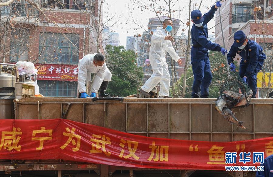 （新华全媒头条·图文互动）（12）从人民中汲取磅礴力量——习近平总书记同出席2020年全国两会人大代表、政协委员共商国是纪实