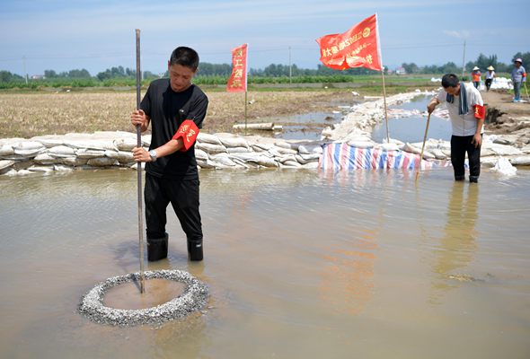 不远千里的志愿驰援