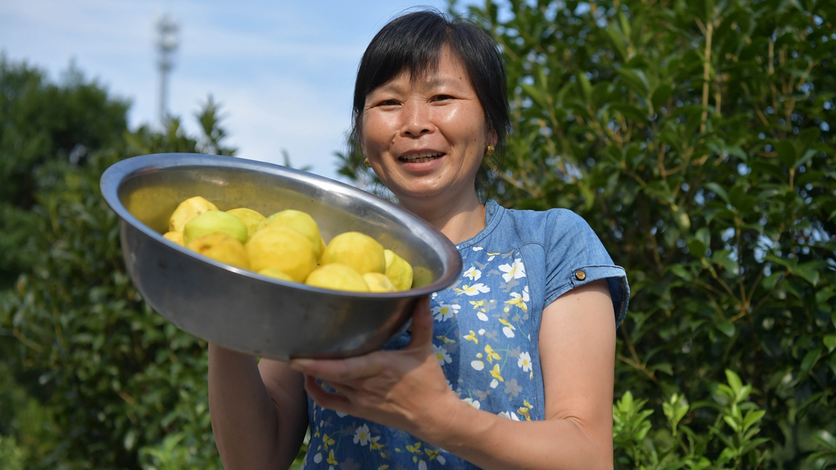 神山村里的张张笑脸