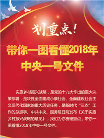 划重点！带你一图看懂2018年中央一号文件