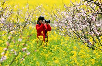 春暖花开