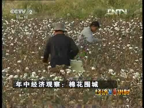 [经济半小时]年中经济观察：棉花围城