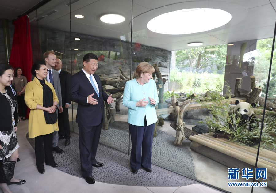 7月5日，国家主席习近平同德国总理默克尔共同出席柏林动物园大熊猫馆开馆仪式。这是习近平和夫人彭丽媛同默克尔在大熊猫馆。 新华社记者马占成 摄 