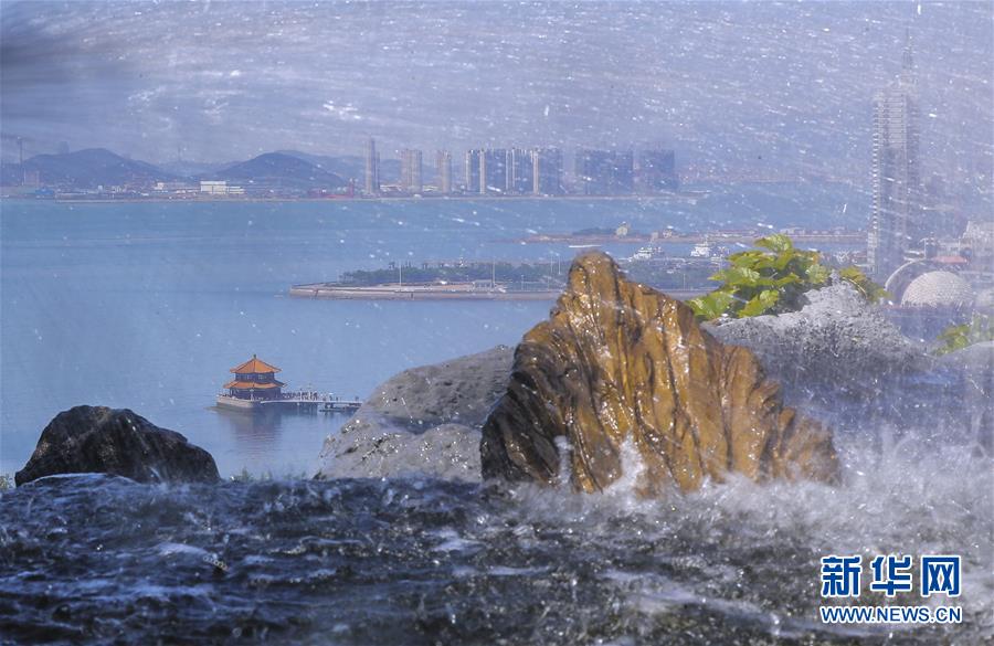 （上合青岛峰会）（10）青岛：花满岛城待宾朋