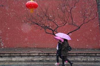 北京迎来春雪